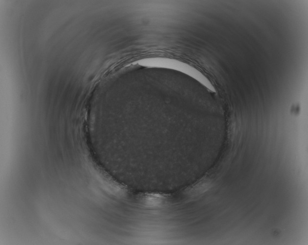 X0000111590229200908061357