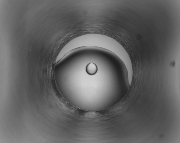 X0000111590231200908061357