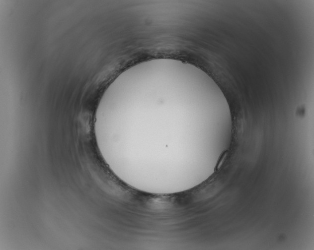 X0000111590232200908061357