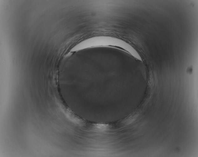 X0000111590233200908061357