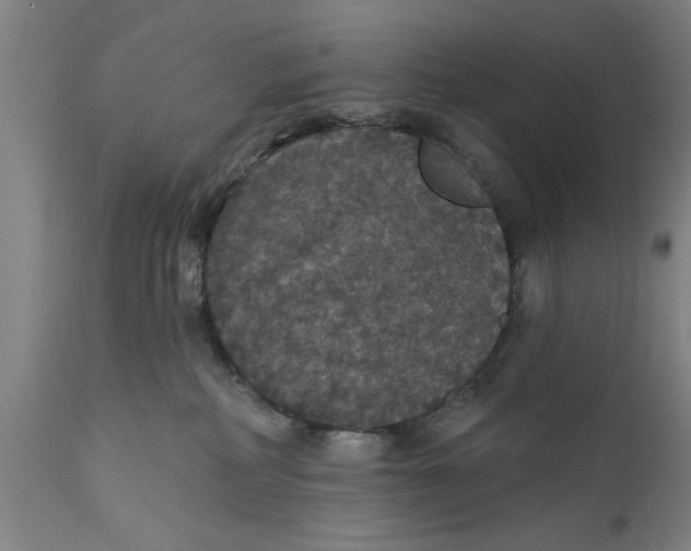 X0000111590234200908061357