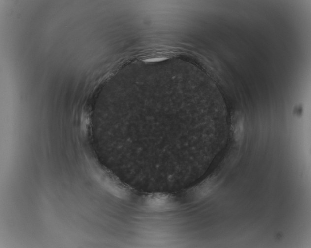 X0000111590235200908061357