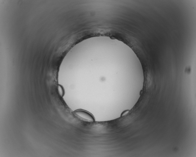 X0000111590236200908061357