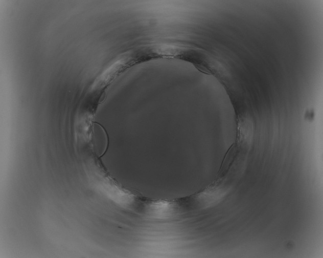 X0000111590237200908061357