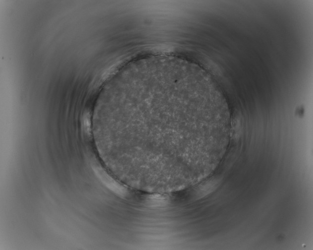 X0000111590238200908061357