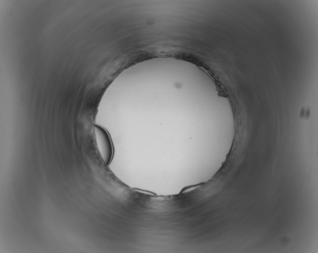 X0000111590240200908061357