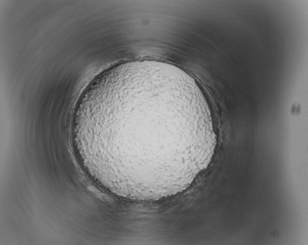 X0000111590241200908061356