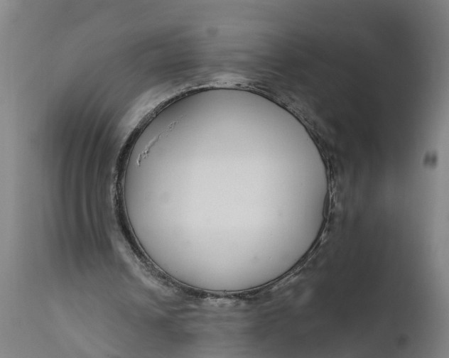 X0000111590242200908061356