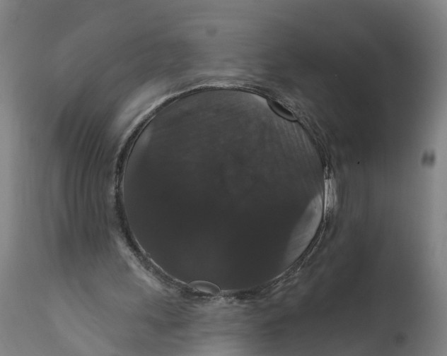 X0000111590243200908061356