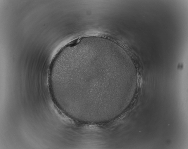 X0000111590244200908061356