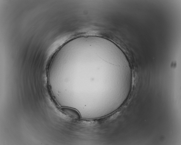 X0000111590245200908061356