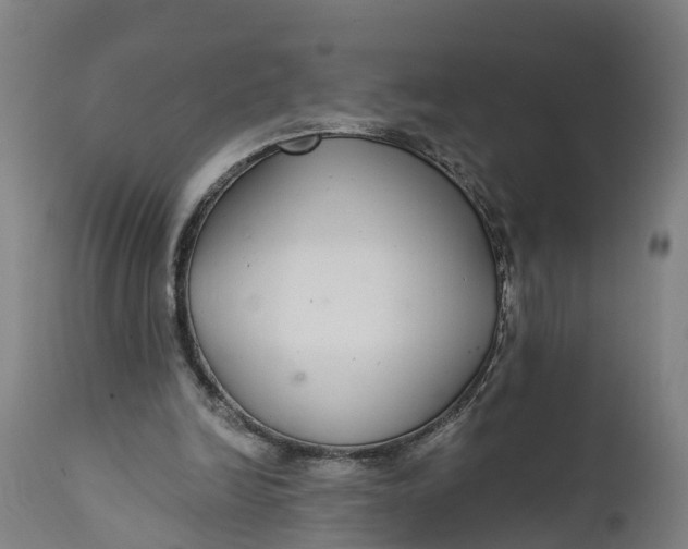 X0000111590246200908061356