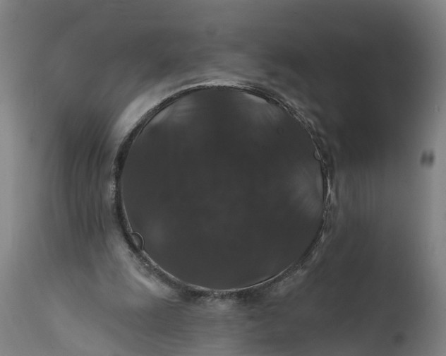 X0000111590247200908061357