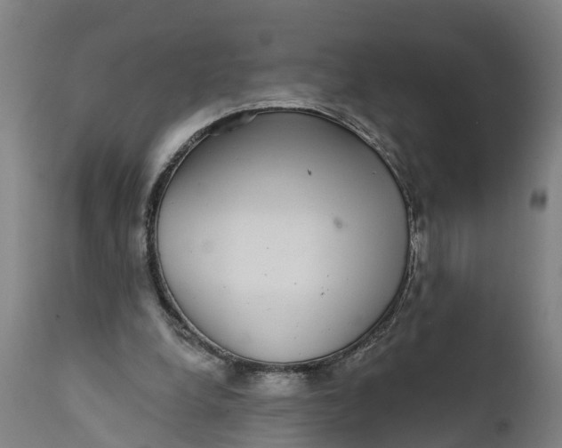 X0000111590248200908061357