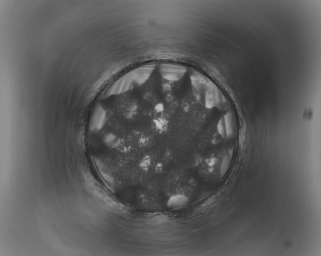 X0000111590249200908061357