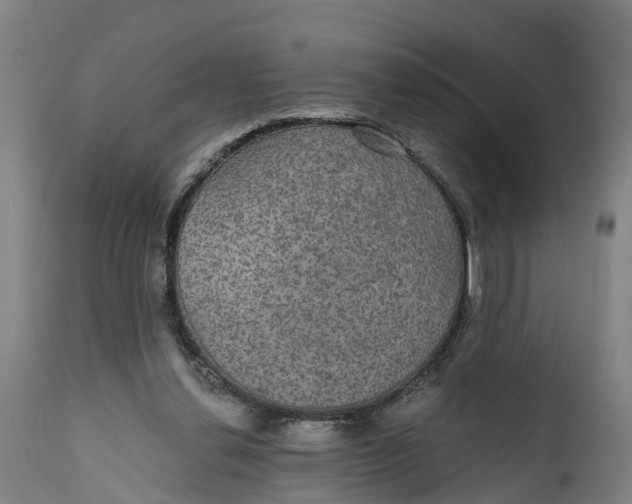 X0000111590252200908061357