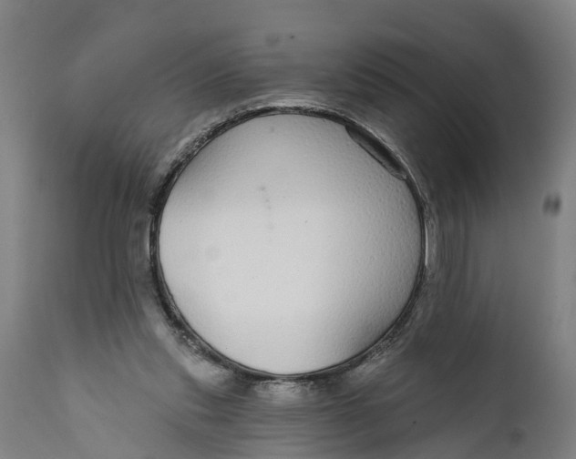 X0000111590253200908061357