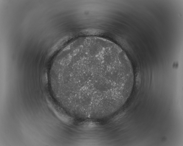 X0000111590254200908061357