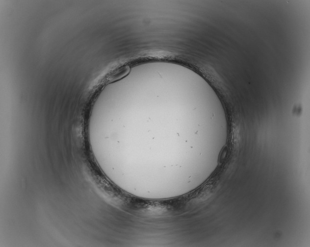 X0000111590256200908061357