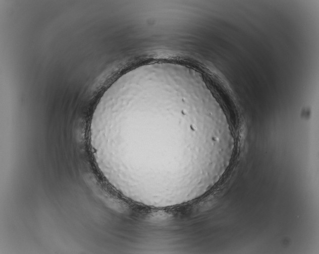 X0000111590257200908061357