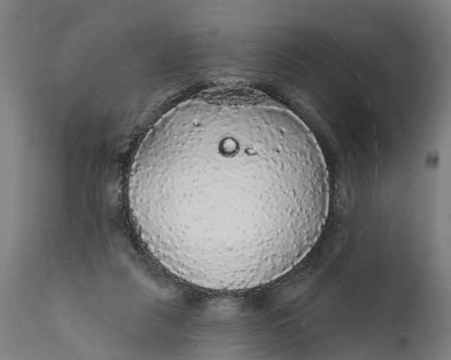 X0000111590259200908061357