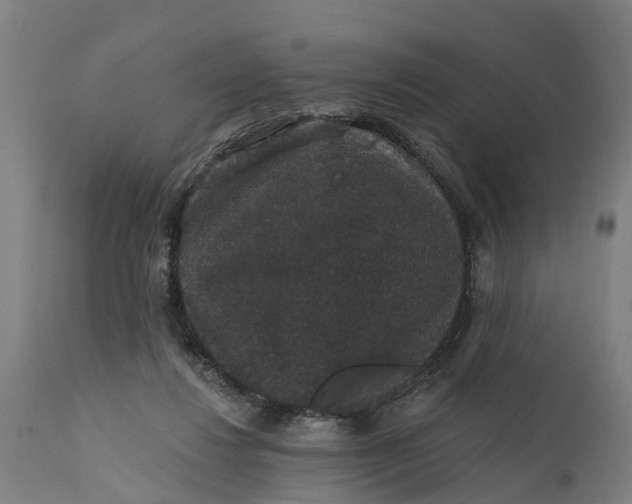 X0000111590260200908061357