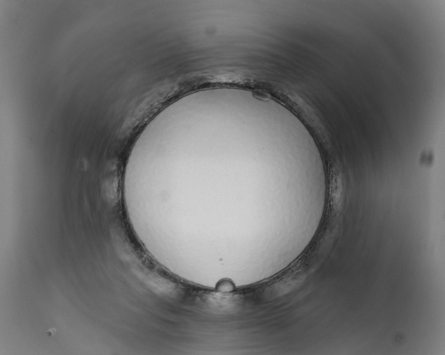 X0000111590261200908061357