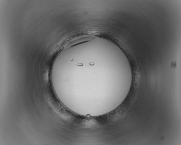 X0000111590262200908061357