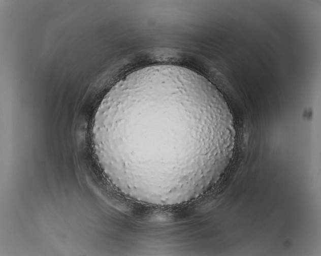 X0000111590263200908061357