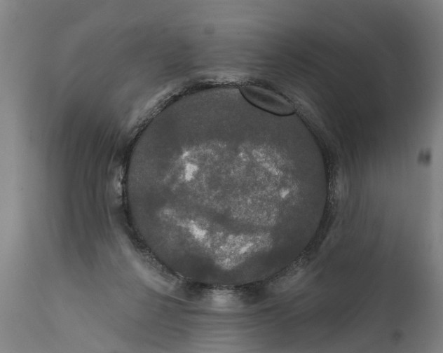 X0000111590264200908061357