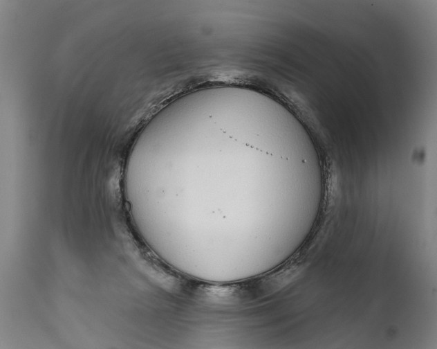 X0000111590265200908061357