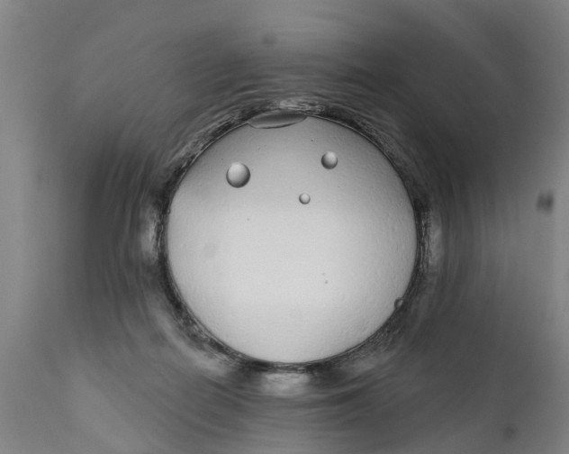 X0000111590266200908061357