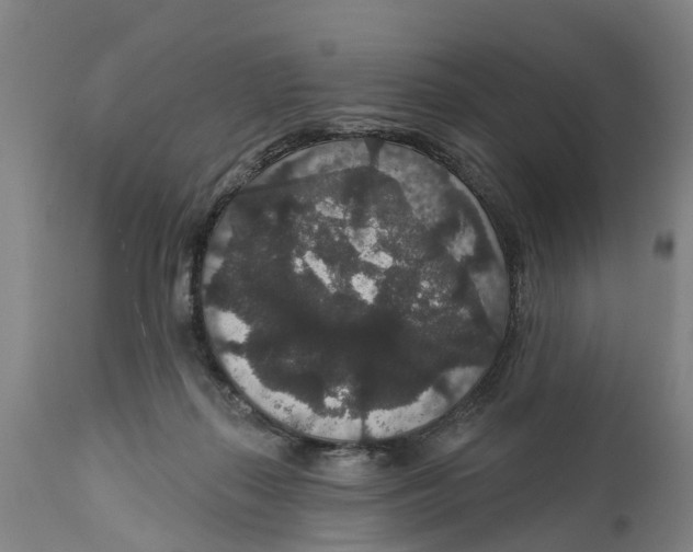 X0000111590267200908061357