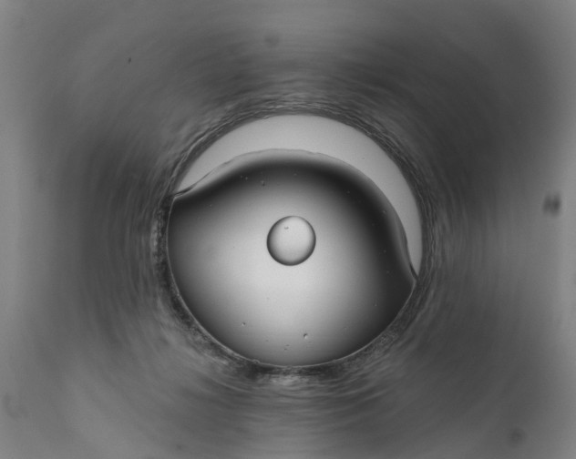 X0000111590268200908061357