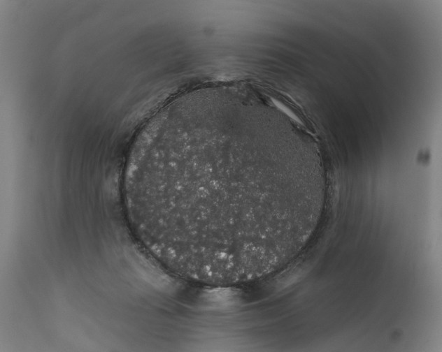 X0000111590269200908061357