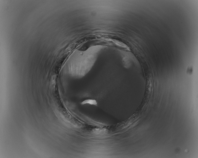 X0000111590271200908061357