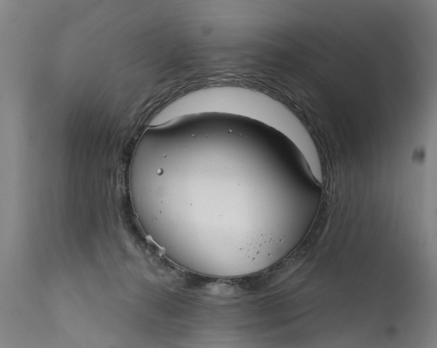 X0000111590272200908061357