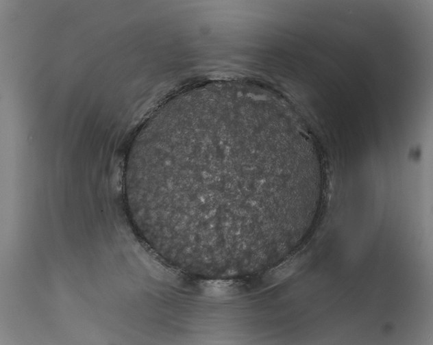 X0000111590273200908061357