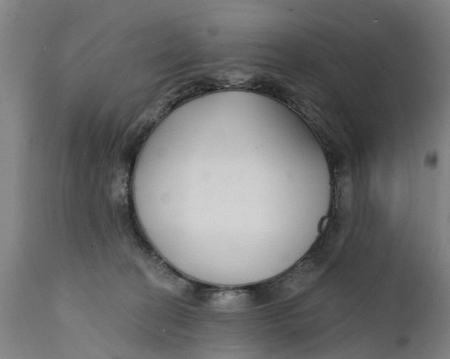 X0000111590274200908061357