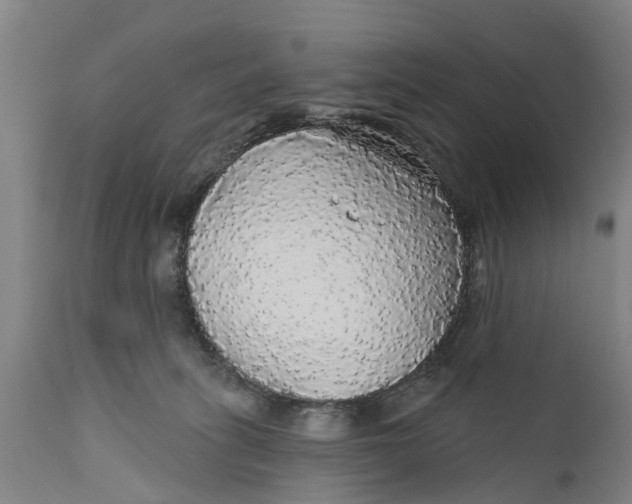 X0000111590275200908061357