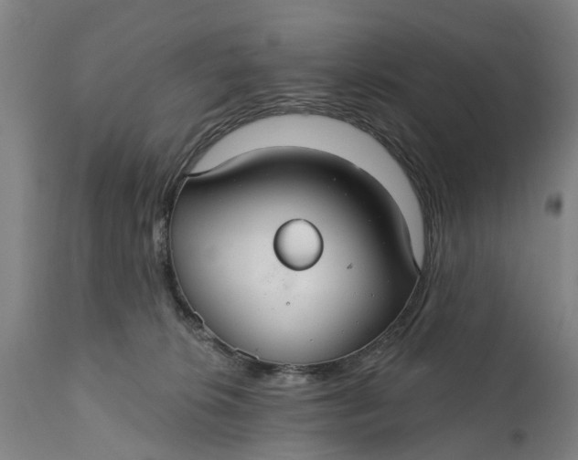 X0000111590276200908061357