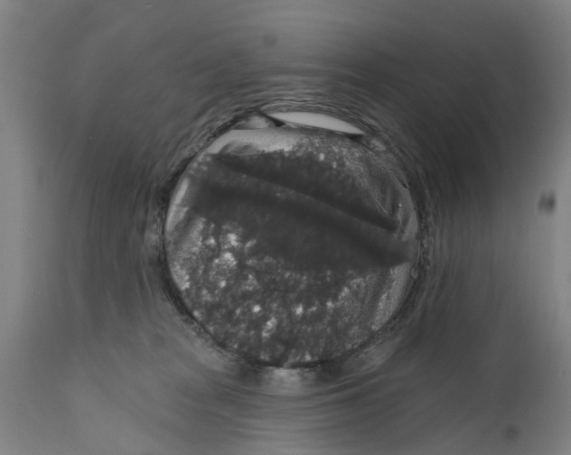 X0000111590277200908061357