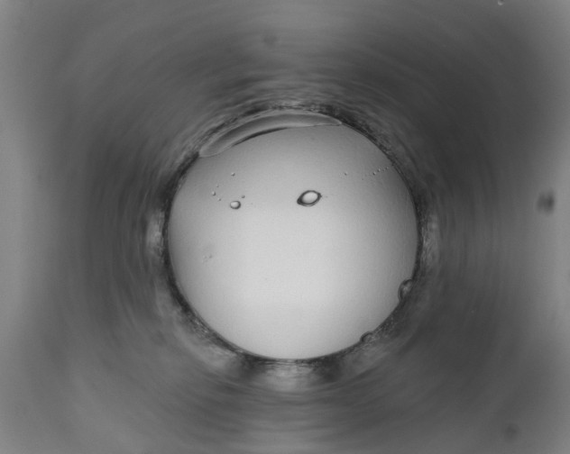 X0000111590278200908061357