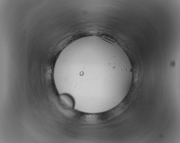 X0000111590279200908061357