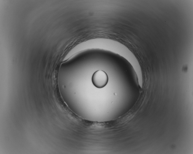 X0000111590280200908061357