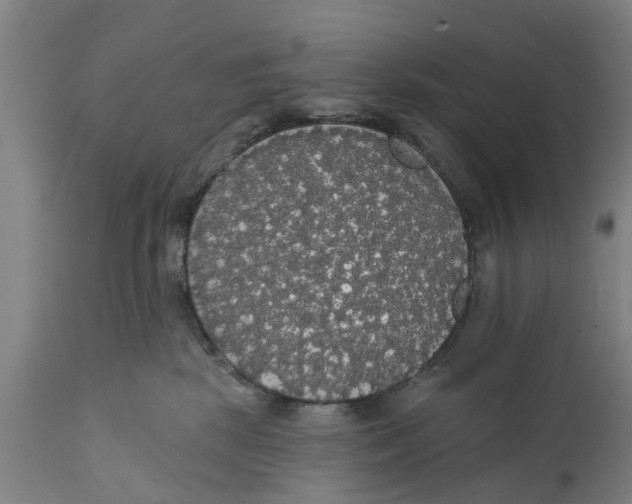 X0000111590281200908061357