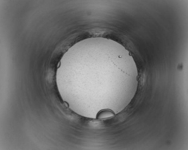 X0000111590283200908061357