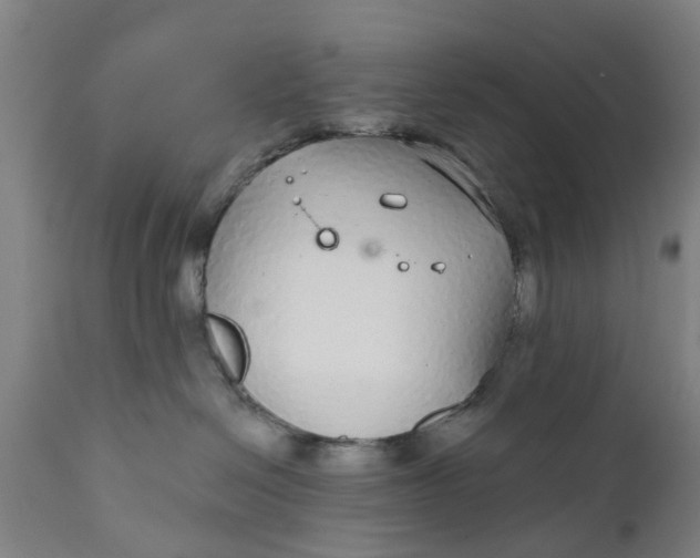 X0000111590286200908061357