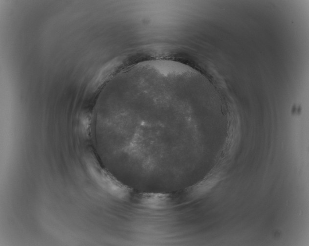 X0000111590288200908061357