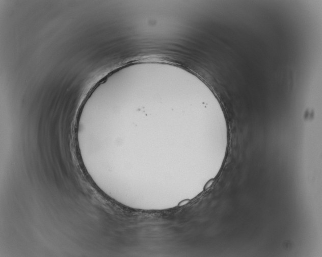 X0000111590289200908061356